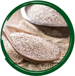 PSYLLIUM